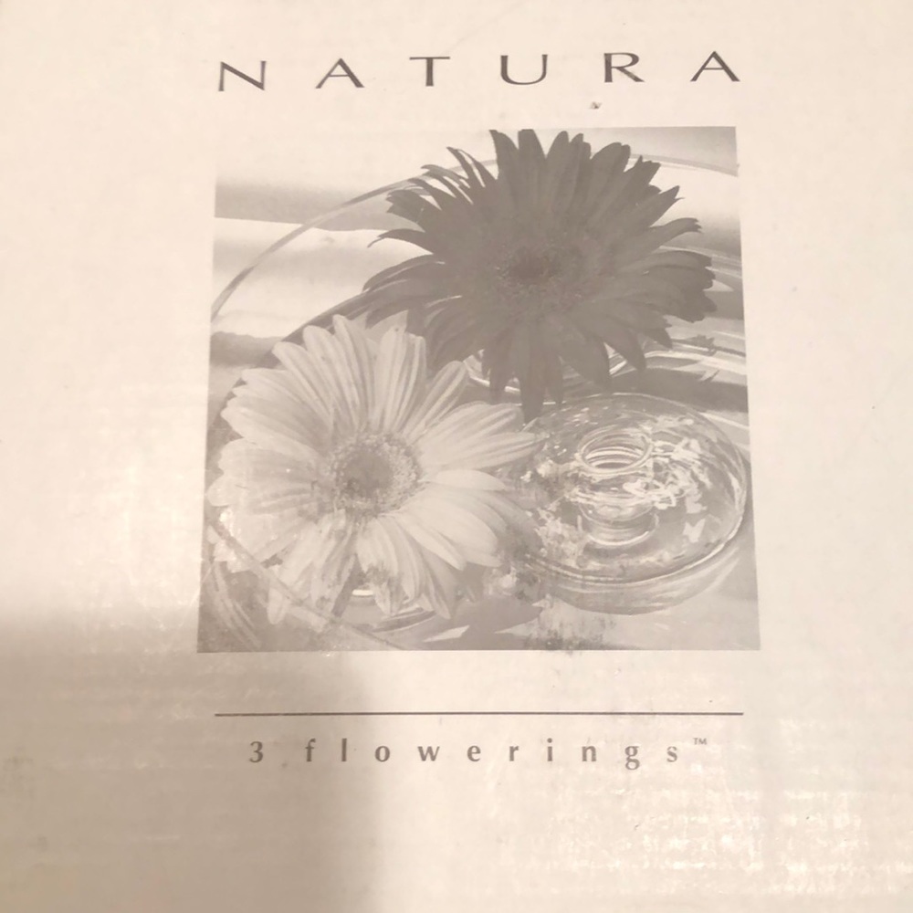 Floating Ikebana Natura. 3 flower rings